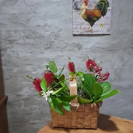 Casa Dona Eufemia 3* ピニョン