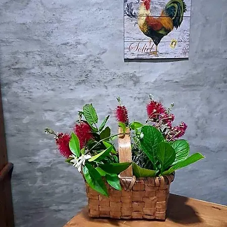 Casa Dona Eufemia Пиньян