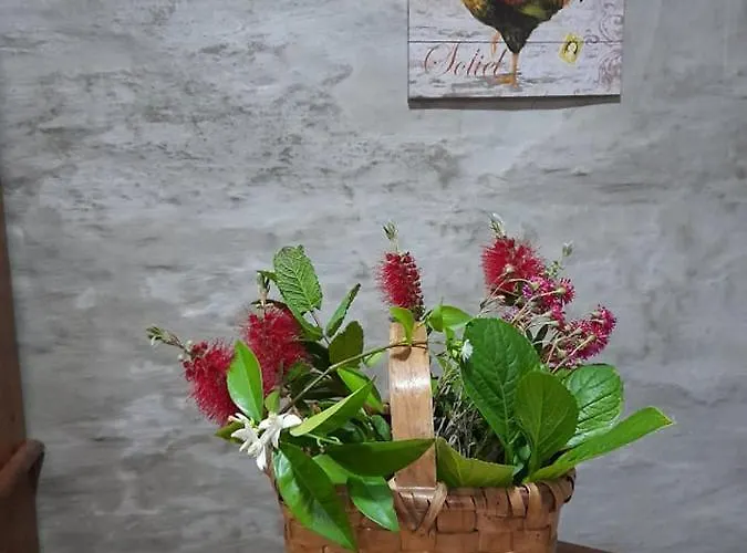 Casa Dona Eufemia 3* Pinhão